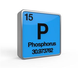 Why Phosphorus Is Such A Beloved Element Of Scientist