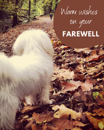 Why Celebrate a Online Farewell Cards Without Tears?