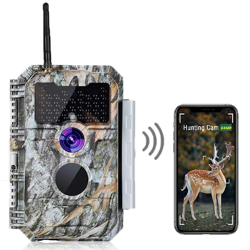 How a Good Trail Camera Can Improve Your Hunting Success