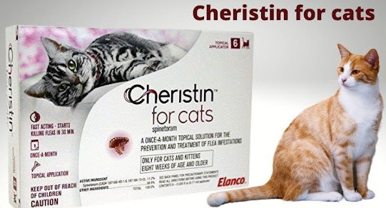 cheristin for cats