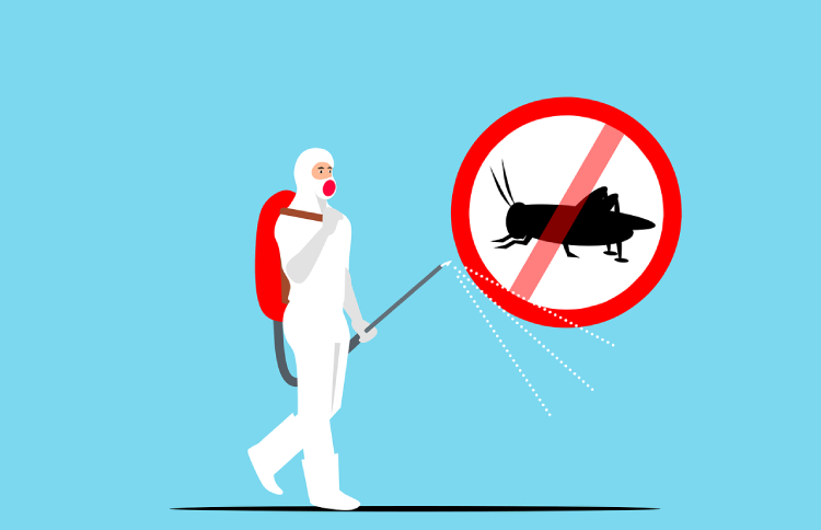 Five Things To Consider When Selecting A Pest Control Provider
