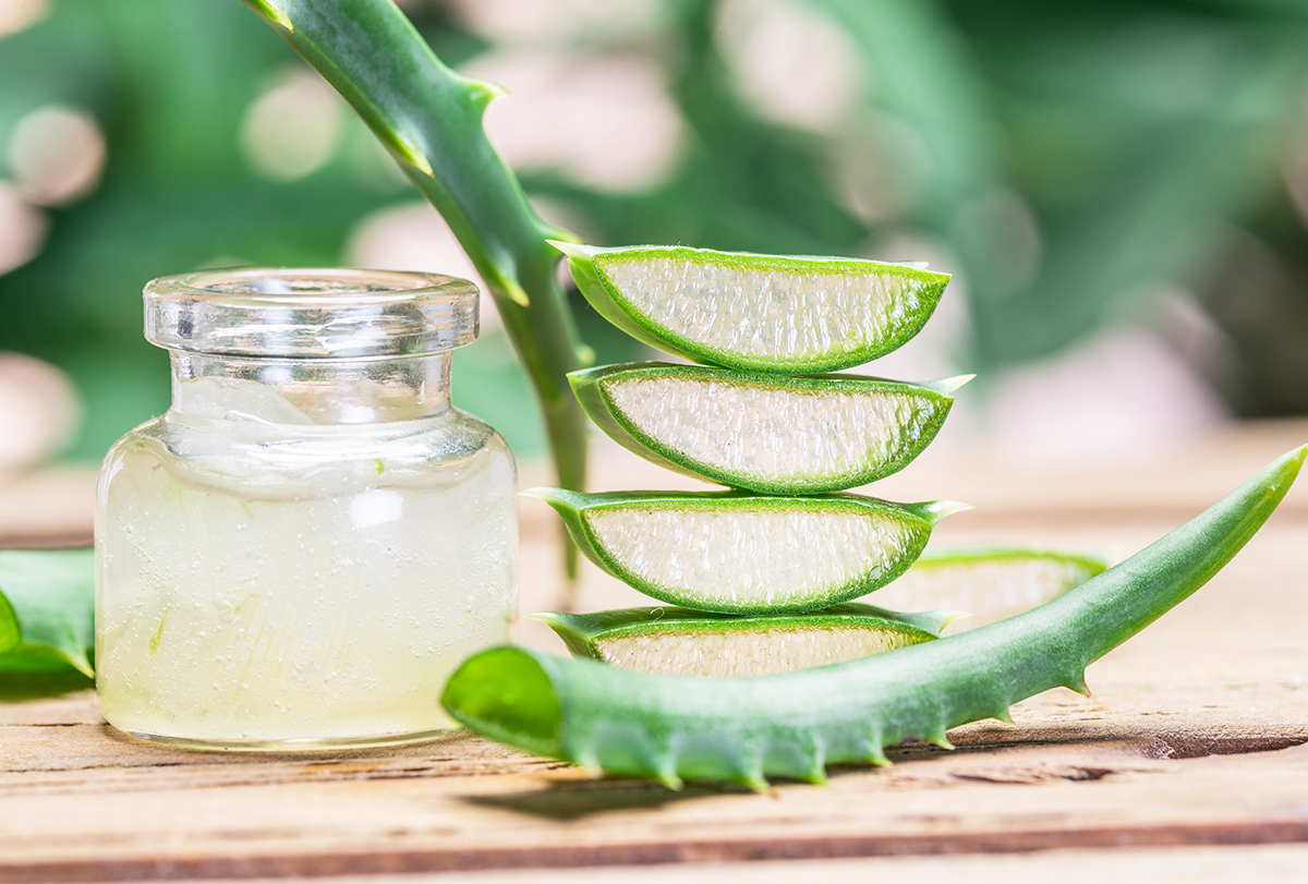 Aloe vera reduces glucose absorption in the gastrointestinal tract