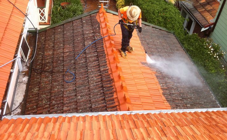 Roof Cleaning