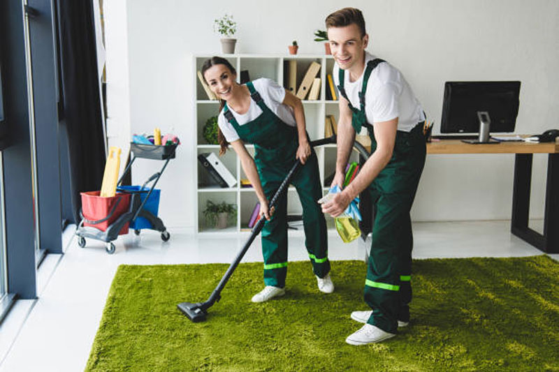 Professional Carpet Cleaning Services Near Me