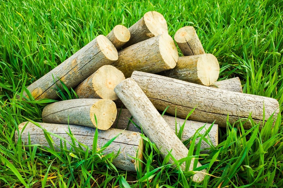 5 Tips for Selecting the Best Firewood for Your Fireplace