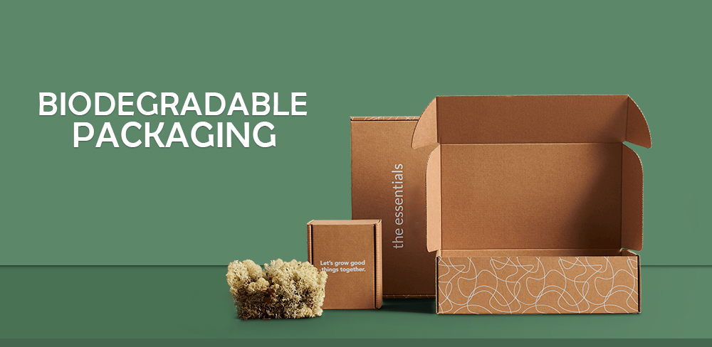 The Future of Biodegradable Packaging: Antifungal, Cleaner and Greener Paper Options