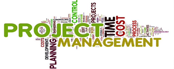 Get Premium-Quality Project Management Assignment Help From Experts