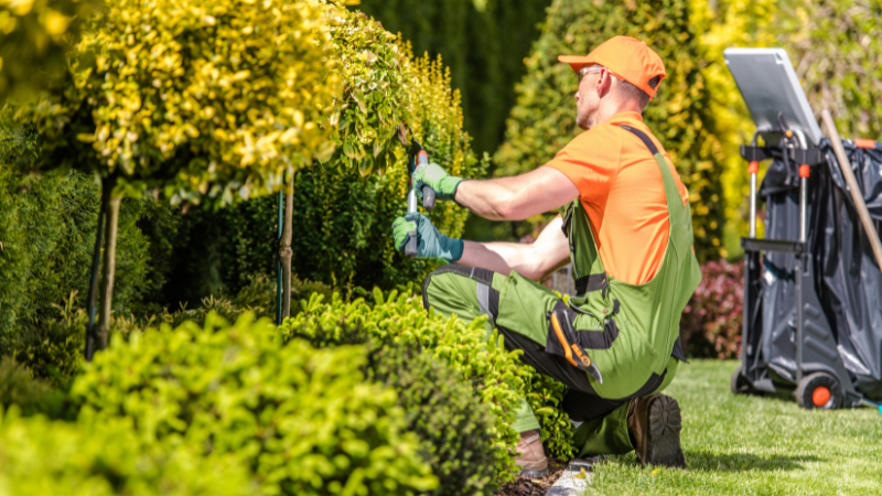 Top Landscaping Companies in Toronto for Residential Properties