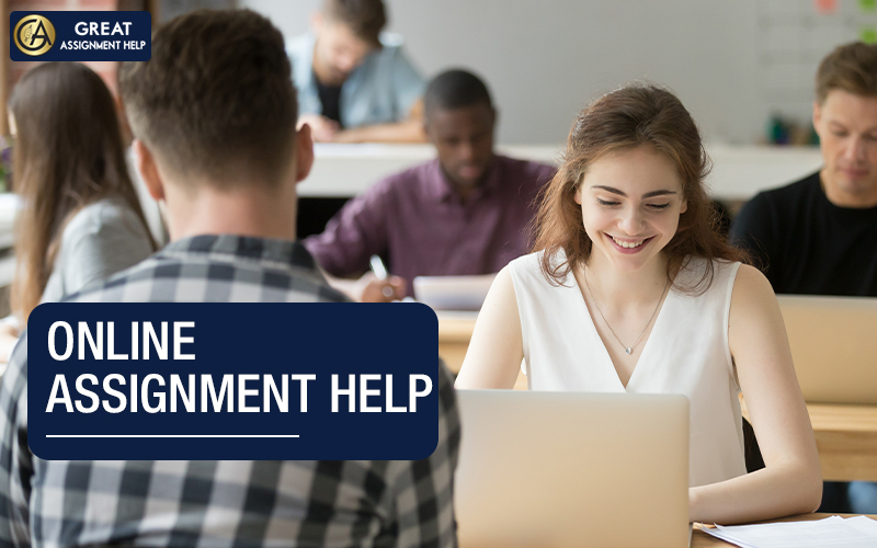 How Find Cheap Assignment Help Services in The USA For Assignment