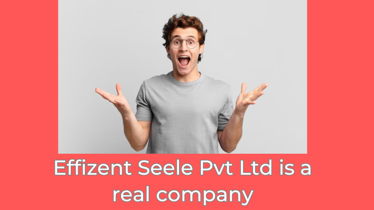 Can I rely on Effizent Seele Pvt Ltd for reliable services?