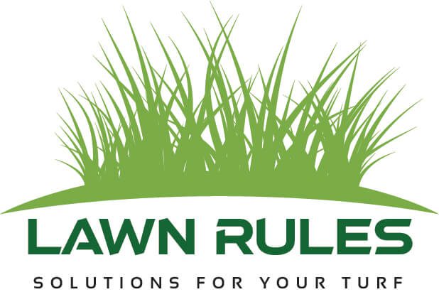 Best Lawn Fertilizer: A Comprehensive Guide to a Lush Green Lawn