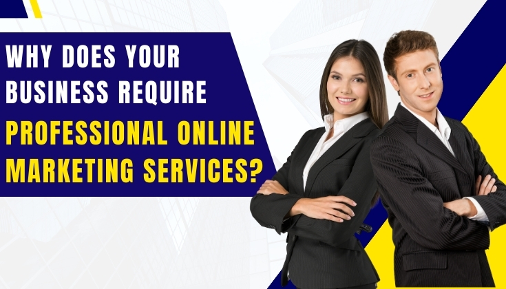 Why does your business require professional online marketing services?