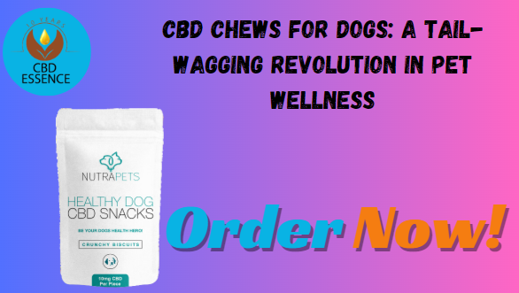 CBD Chews for Dogs: A Tail-Wagging Revolution in Pet Wellness