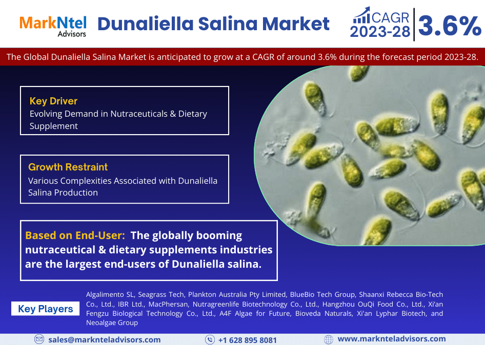 Dunaliella Salina Market Growth, Share, Trends Analysis, Revenue, Key Players, Business Opportunities and Forecast 2028: Markntel Advisors