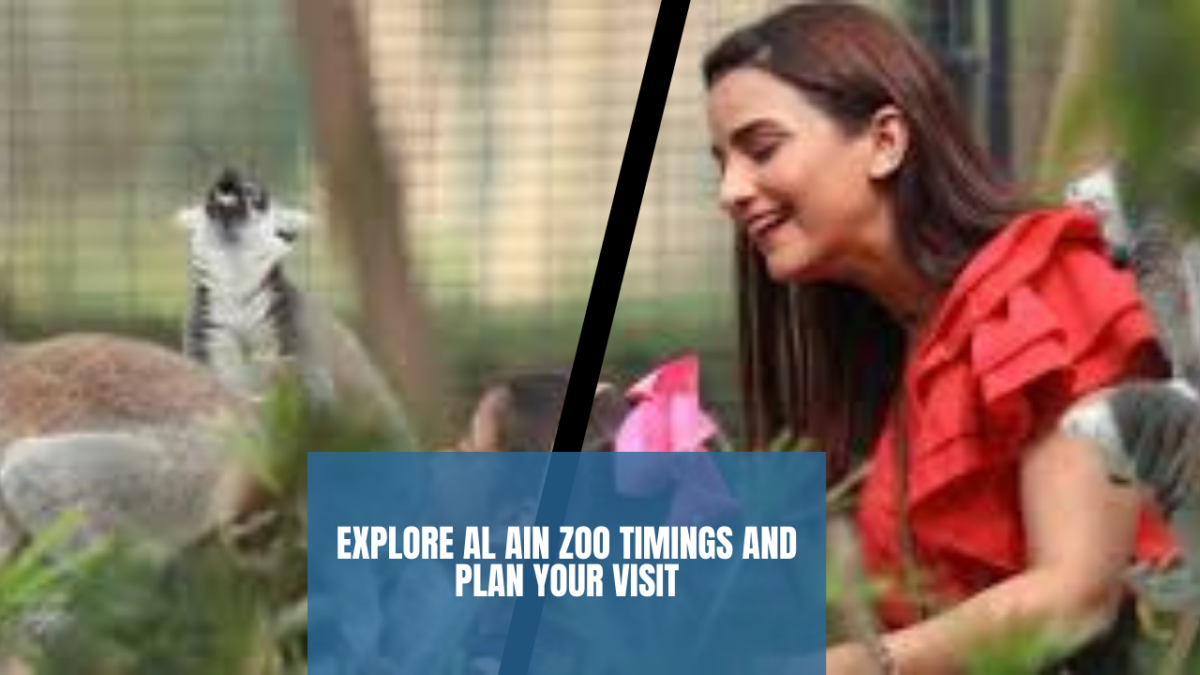 Explore Al Ain Zoo Timings And Plan Your Visit