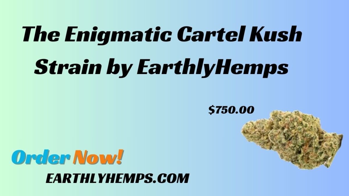 The Artistry: The Enigmatic Cartel Kush Strain by EarthlyHemps
