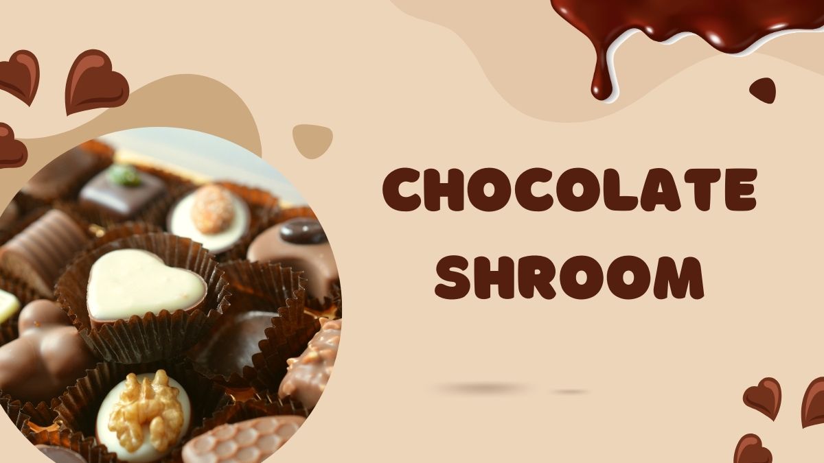 Chocolate Shroom Bar – Everything You Need To Know