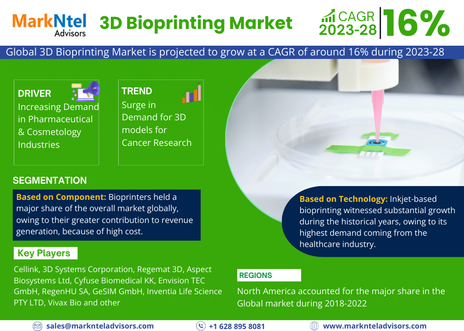 3D Bioprinting Market Insights: Evaluating USD Value and Forecast Market Trends 2028