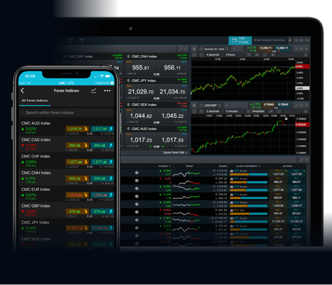 The Role of Central Banks in Forex Markets