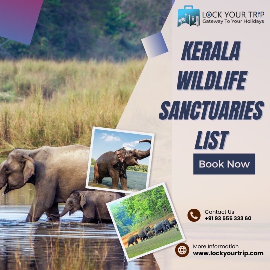 A Comprehensive Guide to Kerala’s  Wildlife Sanctuaries