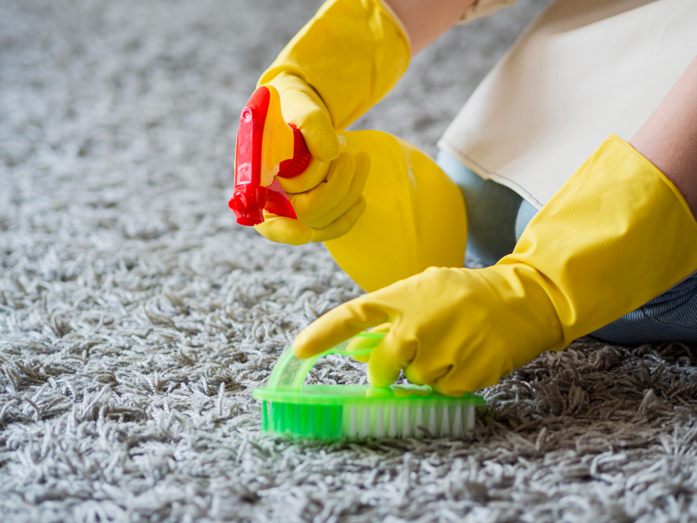 Carpet Deep Cleaning – MZM Diamond Clean