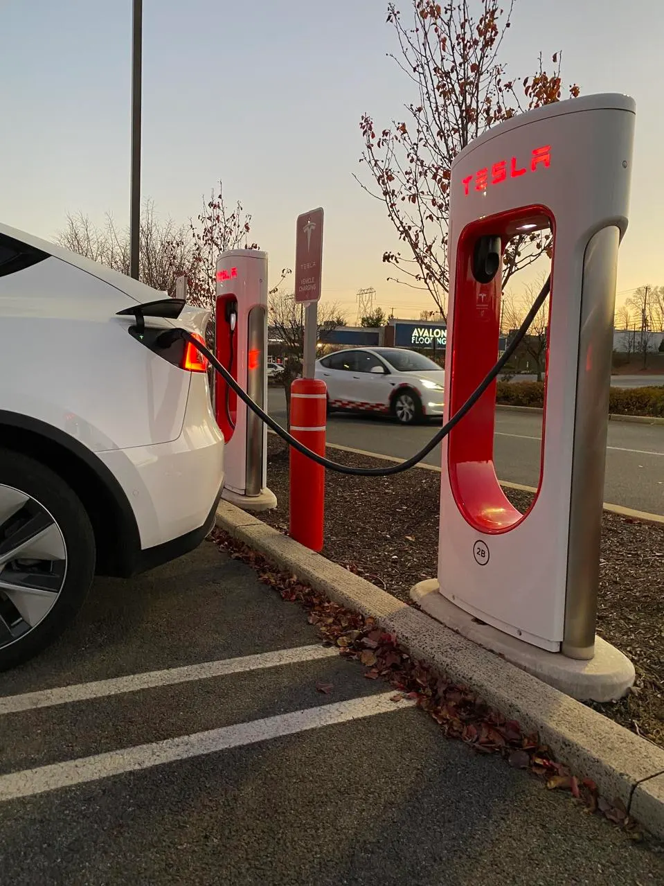 Constant Tesla Model Y, Model 3 Price Cuts Force EV Price War