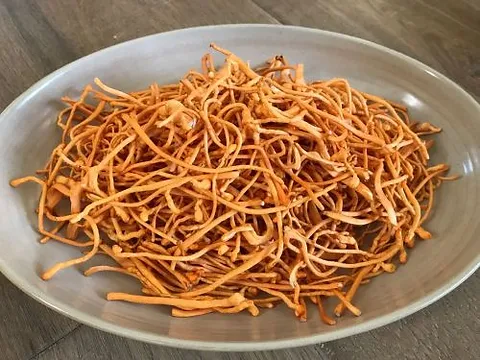 The Power of Cordyceps Energize Your Life