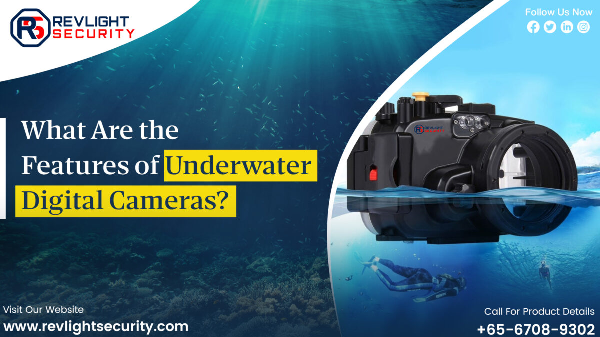 What Are the Features of Underwater Digital Cameras?