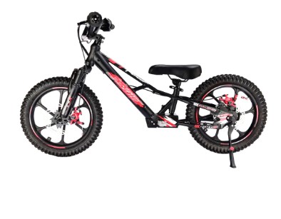 Kids' Electric Bikes