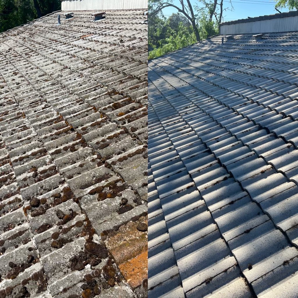 Keep Your Home Safe and Sound: Professional Gutter Cleaning Services in Portland and Salem, OR