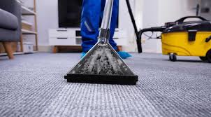 The Power of Professional Carpet Cleaning Services Against Allergens