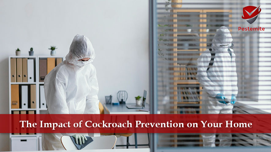 The Impact of Cockroach Prevention on Your Home