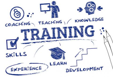 In-House Training: Tailoring Development to Your Organization’s Needs