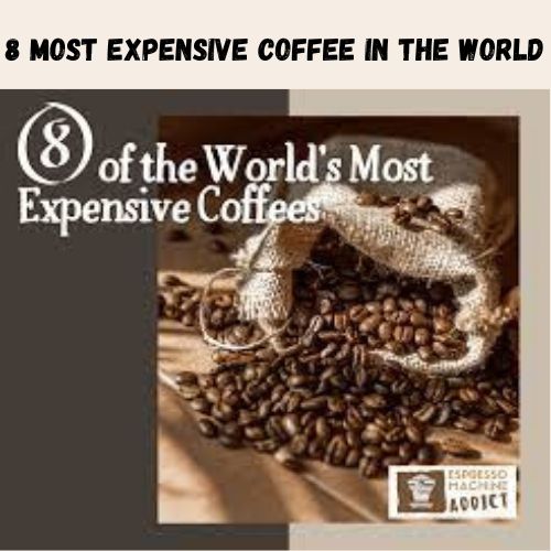 THE 8 MOST EXPENSIVE COFFEE IN THE WORLD