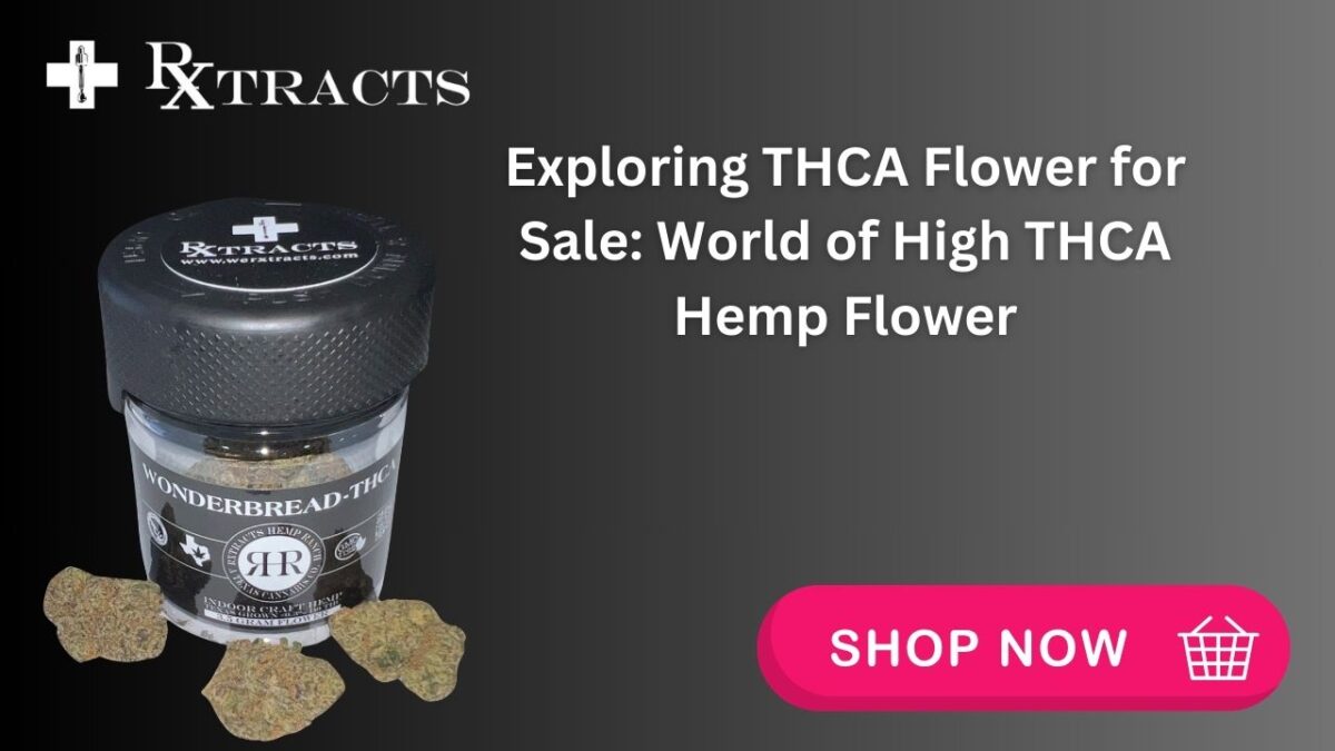 Exploring THCA Flower for Sale: World of High THCA Hemp Flower