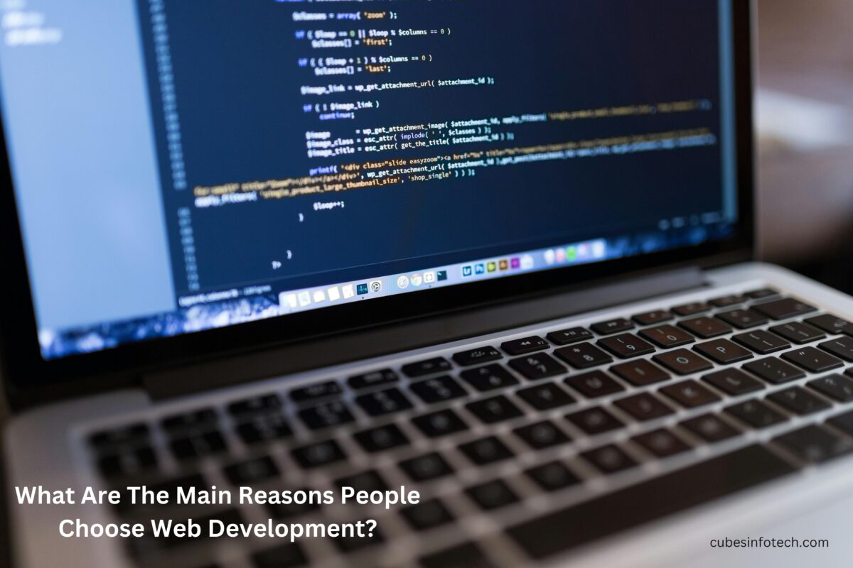 What Are The Main Reasons People Choose Web Development?