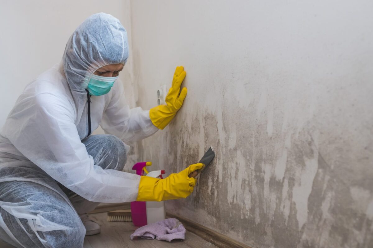 A Comprehensive Guide To Mold Remediation Techniques And Insurance Coverage