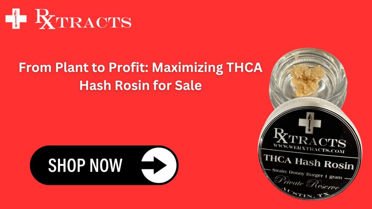 From Plant to Profit: Maximizing THCA Hash Rosin for  Sale