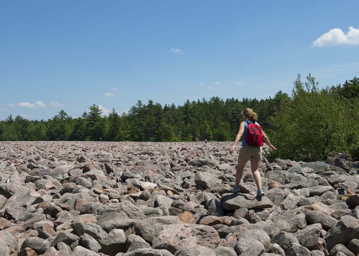 Exploring Nature’s Playground: Hickory Run State Park and Lehigh Gorge State Park Adventure Guide