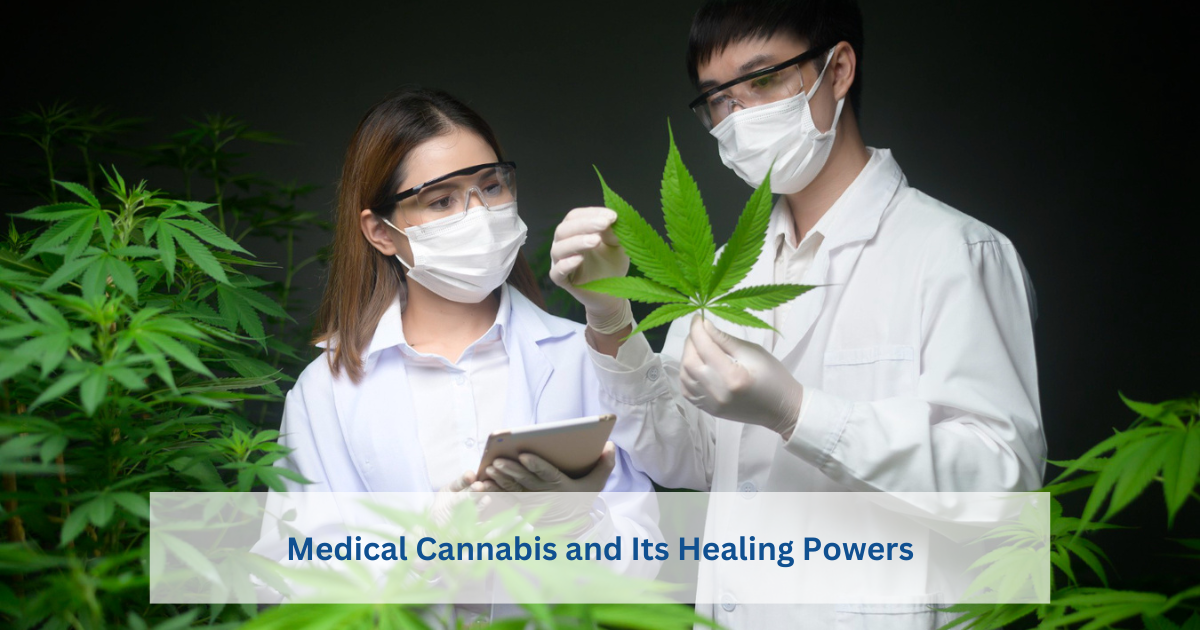 Exploring the Science: Medical Cannabis and Its Healing Powers