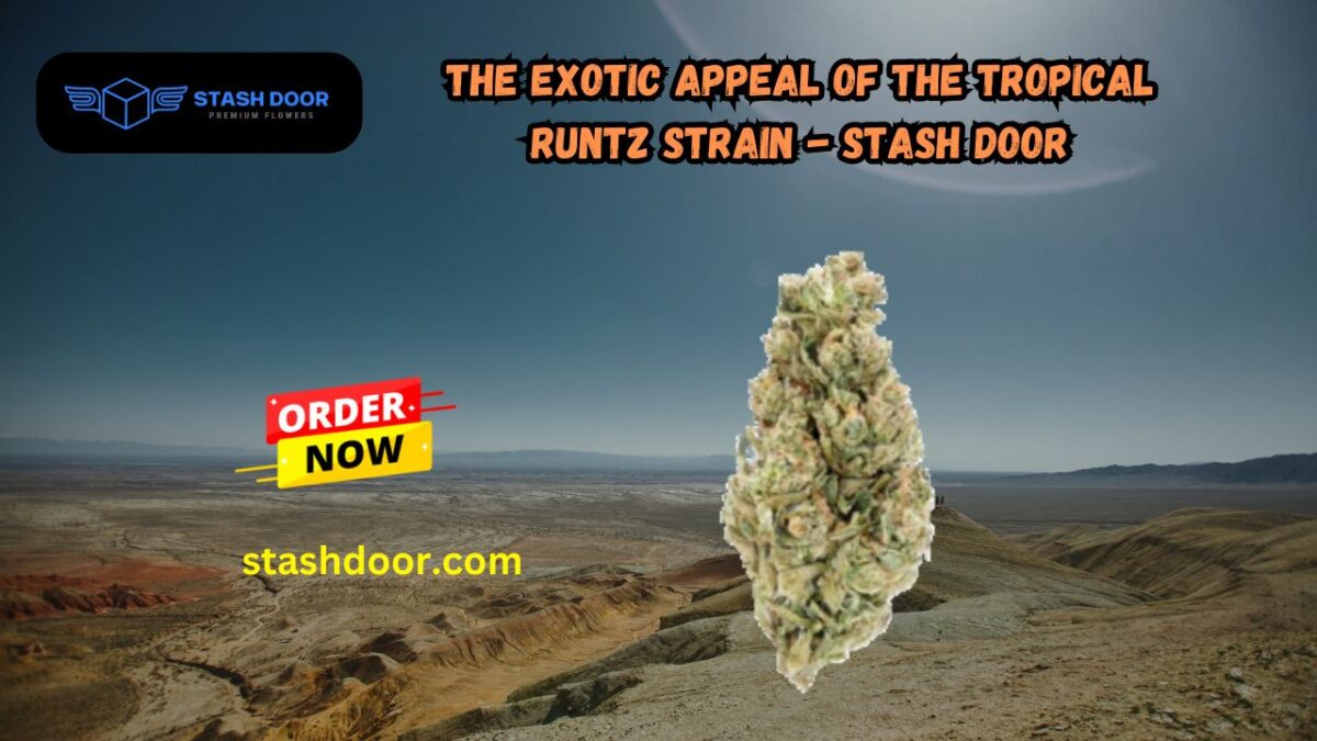 The Exotic Appeal of the Tropical Runtz Strain – Stash Door