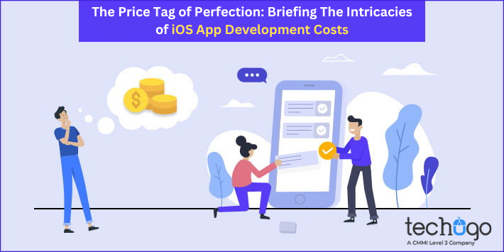 The Price Tag of Perfection: Briefing The Intricacies of iOS App Development Costs