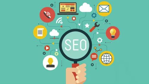 Discover Success with the best SEO Services in Pinellas Park FL