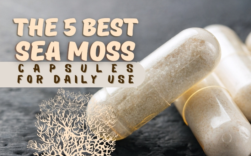 Sea Moss Capsules | The Ultimate Guide to Health and Wellness