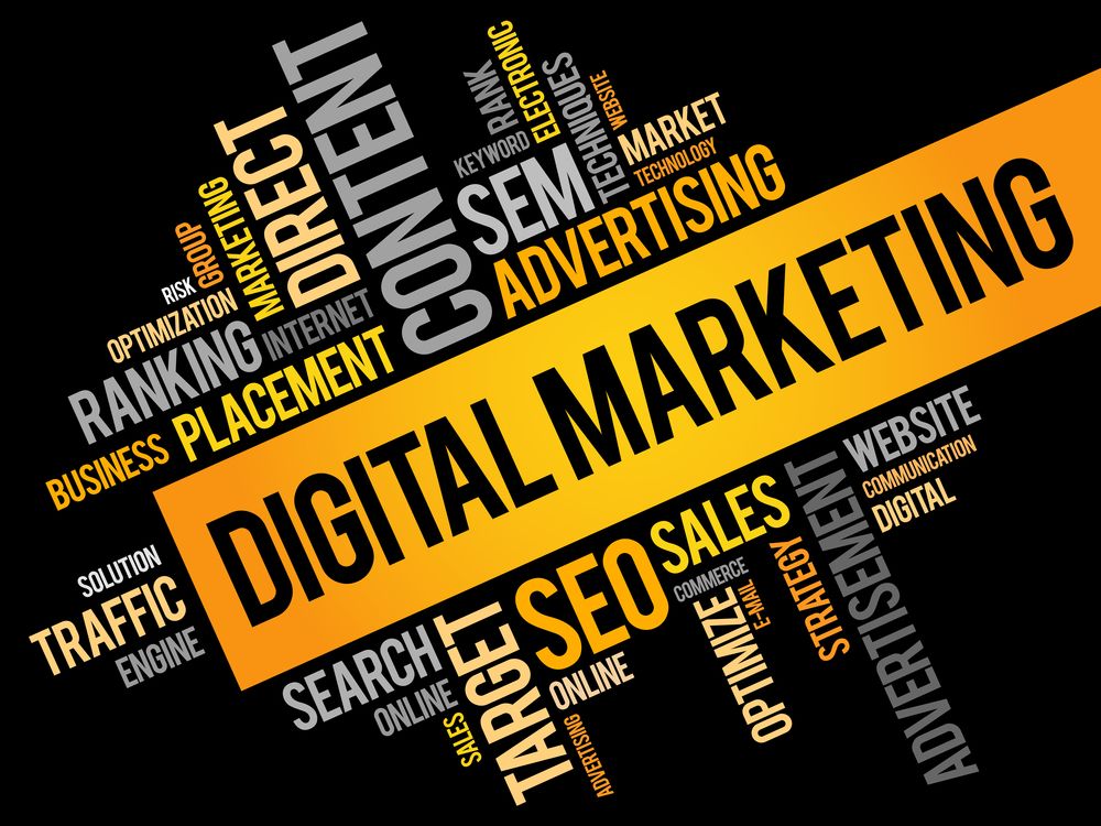 Digital Marketing Course in Hisar: Unlocking Your Path to Success