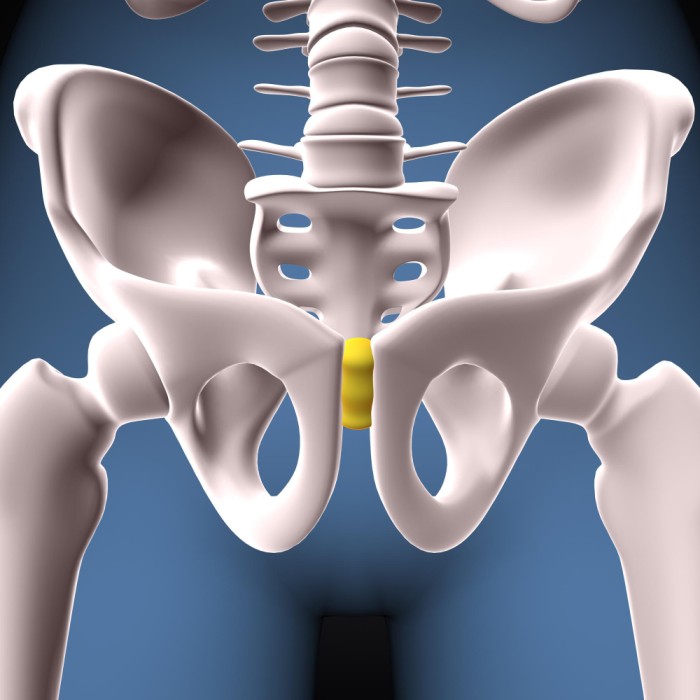 Best Hip Replacement surgeon in Delhi