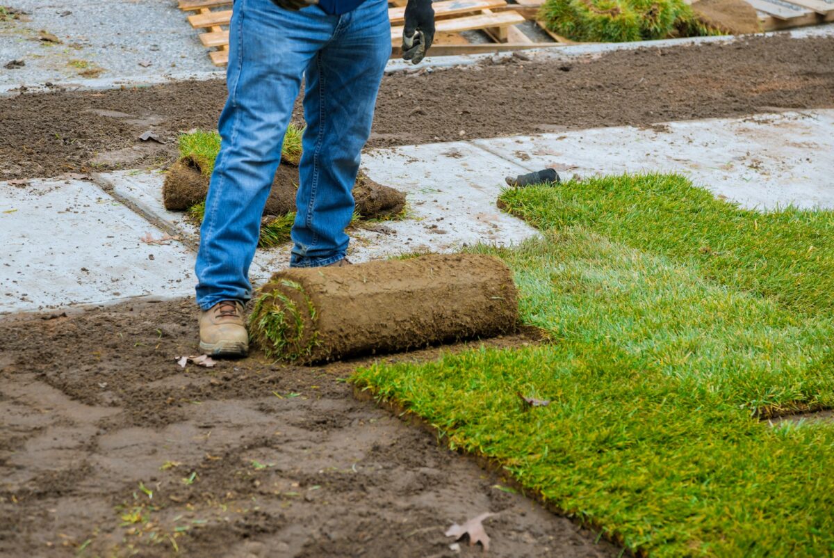 The step-by-step process of sod installation