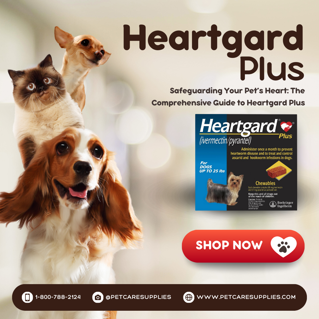 Guarding Your Pet’s Heart: A Comprehensive Guide to Heartgard Plus