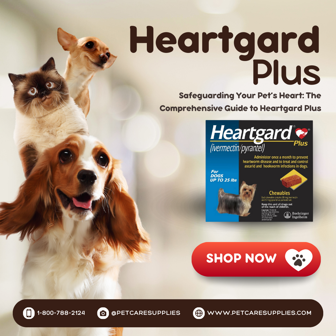 Heartgard Plus for Dogs