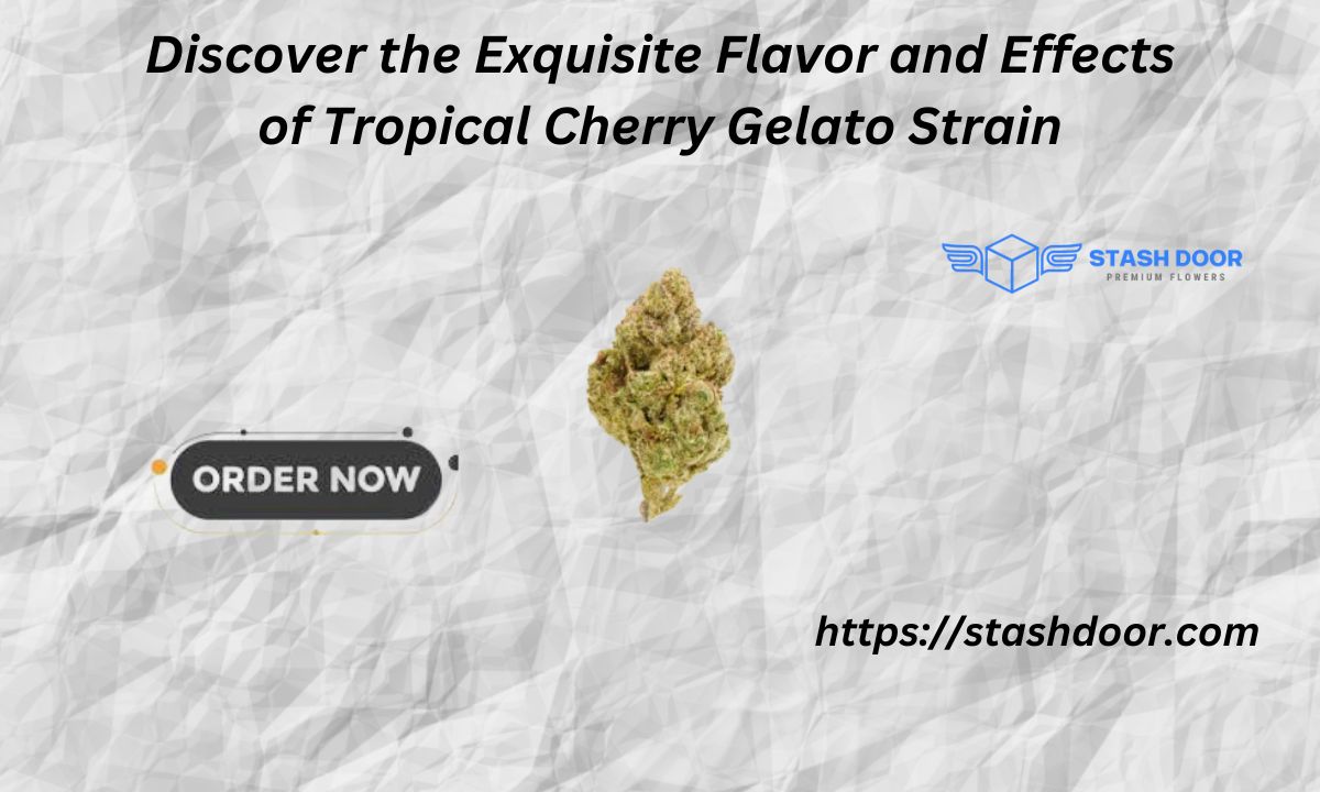 Discover the Exquisite Flavor and Effects of Tropical Cherry Gelato Strain